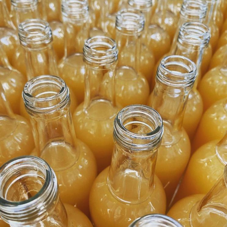 Hero image for Blighty Booch Kombucha