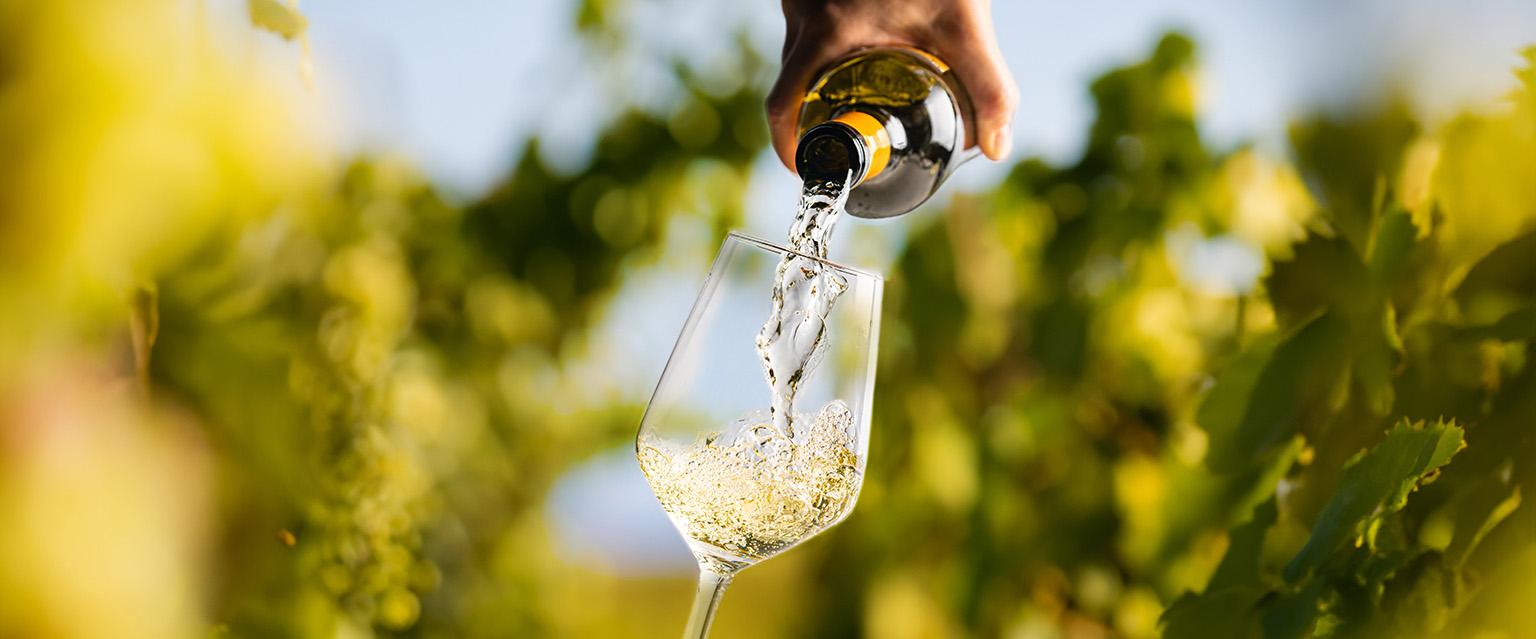 Main image for 5 Amazing Facts About UK Wine (And Why It's Growing Fast)